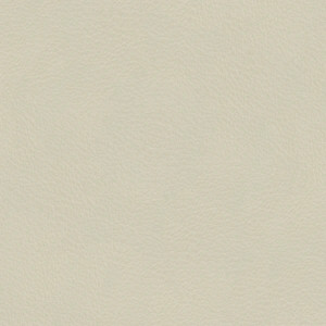Leather Fantasy white  + 400.00€ 